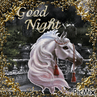 🌹Good Night(And Horse)🌹 - Free animated GIF