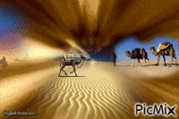 désert animovaný GIF