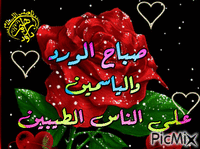 صباح الخير نادو صباح الورد - Animovaný GIF zadarmo