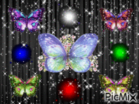 magnifiques papillons анимированный гифка