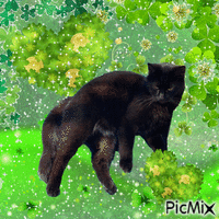 Lucky kitty 🐈‍⬛ 🍀 анимиран GIF