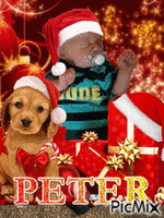peter - Безплатен анимиран GIF