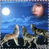 La nuit des loups - Gratis animeret GIF