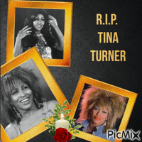 Concours : Hommage à Tina Turner - Darmowy animowany GIF