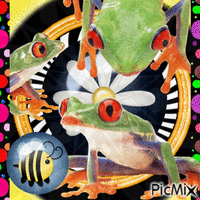 AVTAR Frog's..... GIF animado
