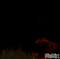 00fondo 003 - Darmowy animowany GIF