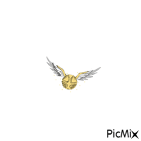 Golden Snitch (transparent background) - Free animated GIF