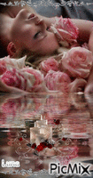 petala de Rose geanimeerde GIF