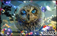 owl - Безплатен анимиран GIF