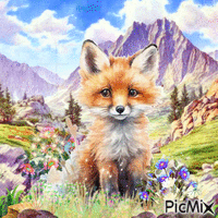 fox-contest - GIF animé gratuit
