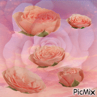 roseclouds - GIF animé gratuit