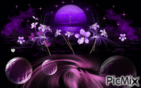 Purple live - Bezmaksas animēts GIF