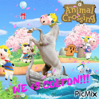 Colton Animal Crossing