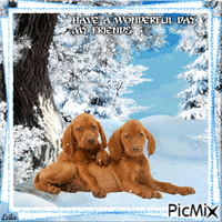 Have a Wonderful Day my friends. Winter, dogs - GIF animé gratuit