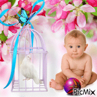 miminko animovaný GIF