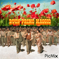 Buon Primo Maggio - Бесплатный анимированный гифка