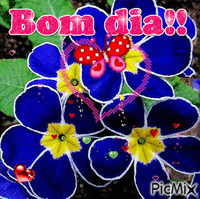 flor - GIF animado grátis