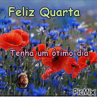 Feliz Quarta-Feira! - Бесплатный анимированный гифка
