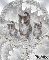 LES CHAT - Free animated GIF