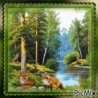 Wildtiere in der Natur - Free animated GIF