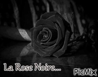 La Rose Noire - GIF animé gratuit