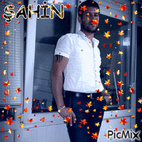 şahin - Free animated GIF