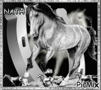 CHEVAL - Free animated GIF
