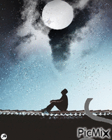 Noche Animated GIF