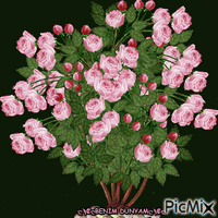 Benim PicMix - Free animated GIF