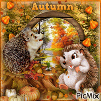 Hedgehog in Autumn-RM-09-13-23 - Zdarma animovaný GIF