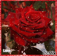 raios de rosa - Ingyenes animált GIF