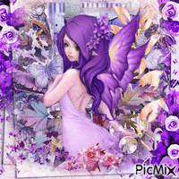 fantasy violet rose