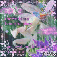the world is a beautiful place Gif Animado