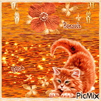 Bonsoir les chatons animovaný GIF