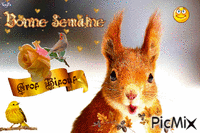 L'écureuil geanimeerde GIF