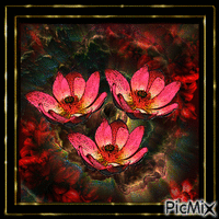 fleurs sur fond fractal - GIF เคลื่อนไหวฟรี