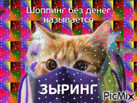 Anastaisha - Ingyenes animált GIF