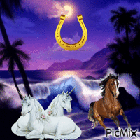 Cavallo e unicorno