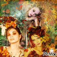 magie d'autunno 动画 GIF