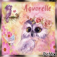 Petite chouette aquarelle - PNG gratuit
