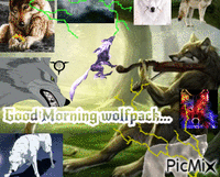 Good morning wolfpack GIF animé