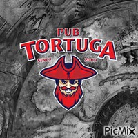 TortugaPubBaku - Darmowy animowany GIF