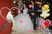 عروستنا - Zdarma animovaný GIF