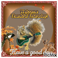 Thankful Thursday анимированный гифка