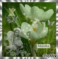 Monika emlekere - Δωρεάν κινούμενο GIF