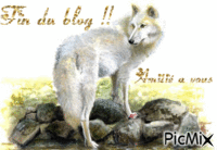 loup blanc - GIF animado gratis