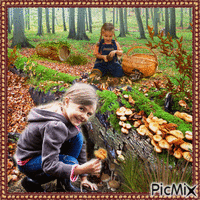 Zwei Kinder suchen im Wald Pilze