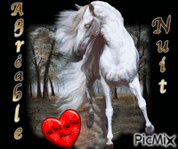 un cheval blanc dans la nuit анимированный гифка