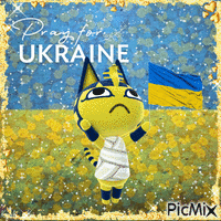 Ukranian Kitty