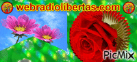 Web Rádio Libertas animēts GIF